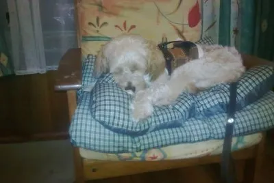 sueÃ±o