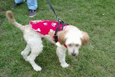 paseo