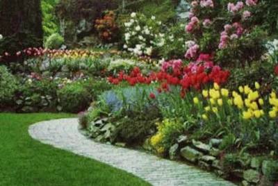 paisaje jigsaw puzzle