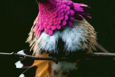 .