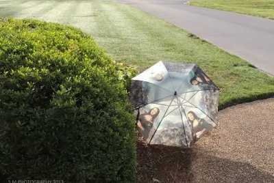 Let the Sun Shine