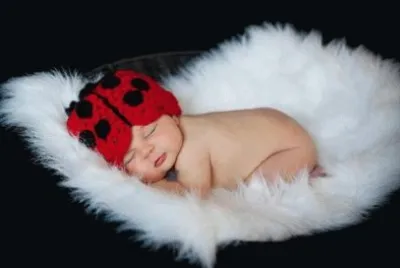 ladybug jigsaw puzzle