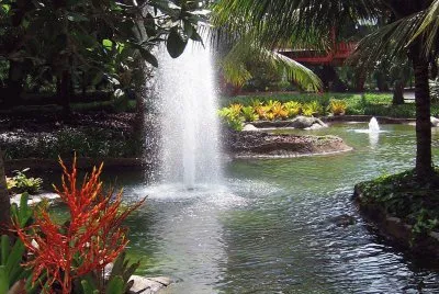 Jardim  em lago