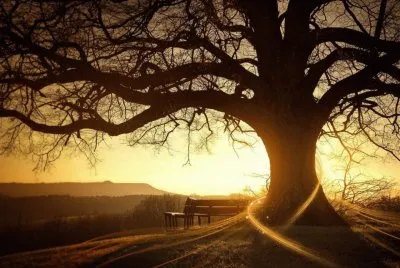 ATARDECER (4)