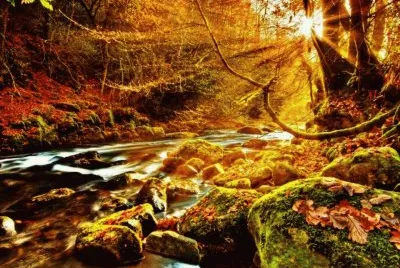 92 jigsaw puzzle