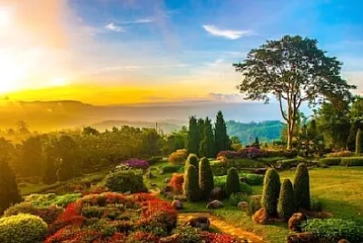  jigsaw puzzle
