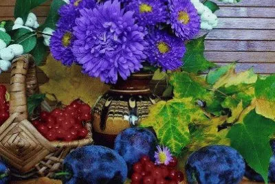 146 jigsaw puzzle