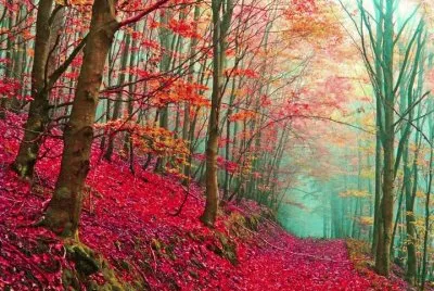 175 jigsaw puzzle