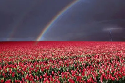 arcoiris