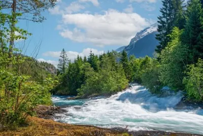Nature
