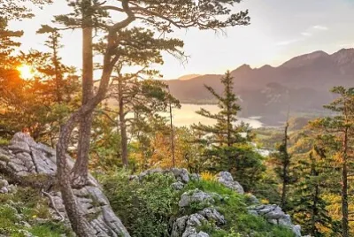 Nature