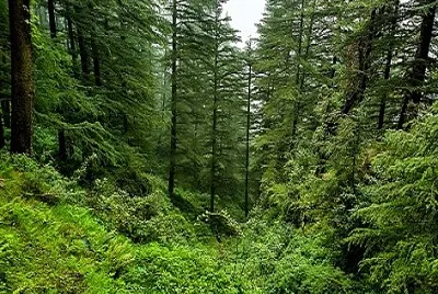 Nature