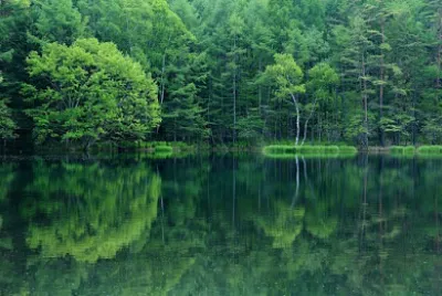 Nature jigsaw puzzle