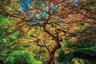 Nature