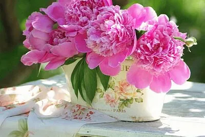  jigsaw puzzle