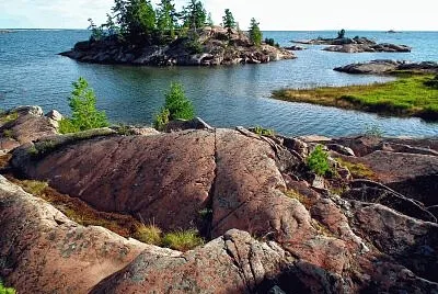 Nature