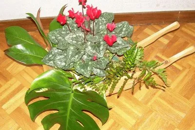 Jardinera