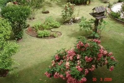Beautiful Garden