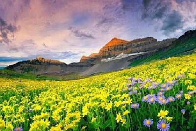 Nature