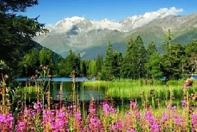 פאזל של Nature