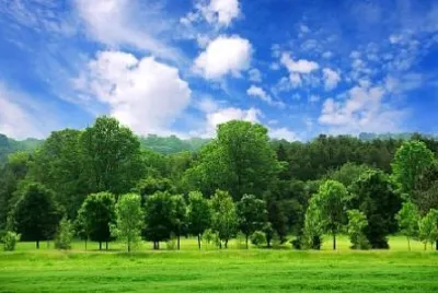 Nature