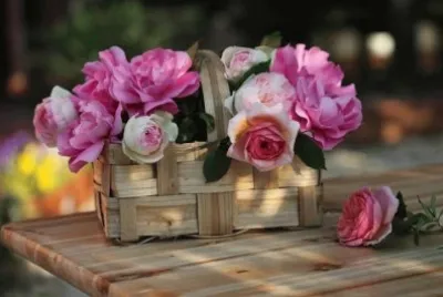 flores