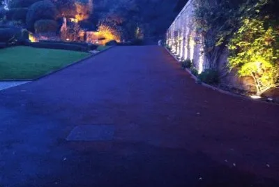 Purple Driveway