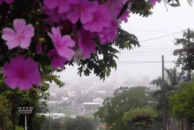 cenÃ¡rio - MaringÃ¡-Brasil