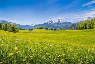 Nature