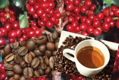 cafÃ¨
