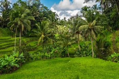 Nature jigsaw puzzle