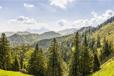 Nature jigsaw puzzle