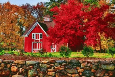 Casa Vermelha jigsaw puzzle