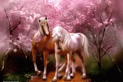 Cavalinhos jigsaw puzzle