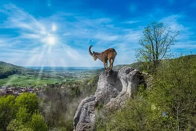 Nature