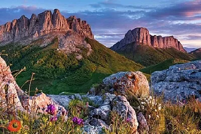 Nature