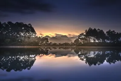 Nature