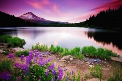 Nature