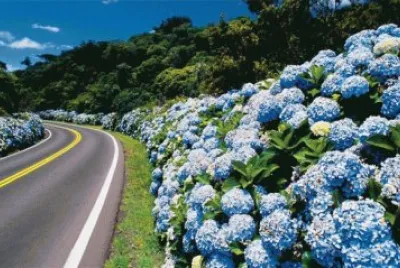 PAISAJE
