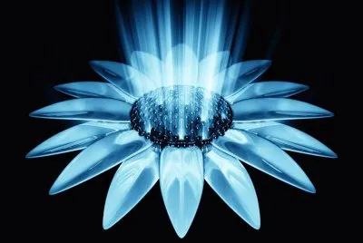 flor jigsaw puzzle