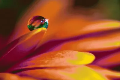 gota de agua jigsaw puzzle