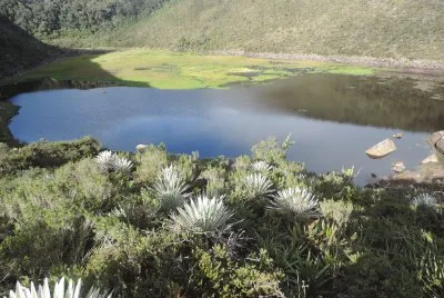Laguna