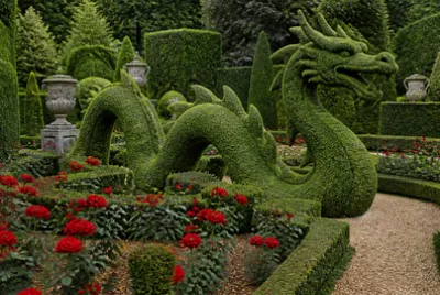 Drago di siepe topiaria