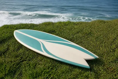 Fish Board on Grass