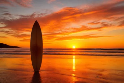 Sunset Board Silhouette
