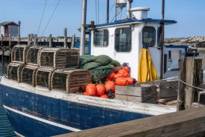 Fishing Boat Traps