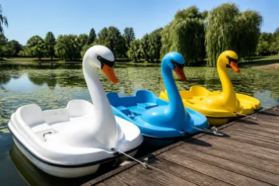 Swan Pedal Boats