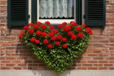 Heart Window Box