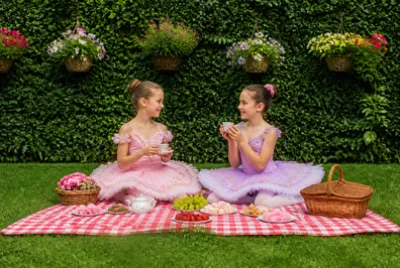 Picknick Häckbalett