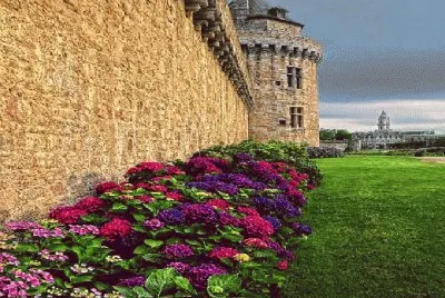 castelo
